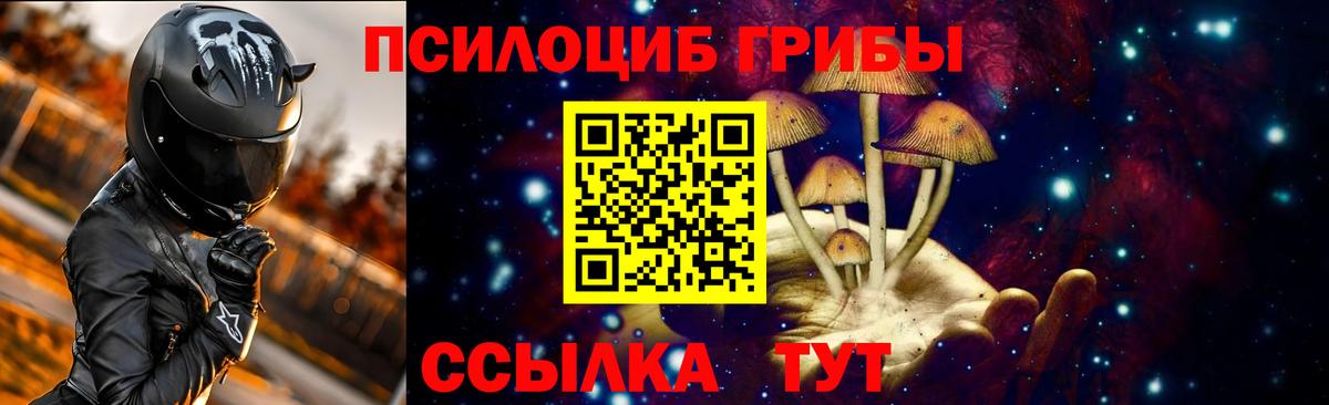 Галлюциногенные грибы Cubensis Алатырь