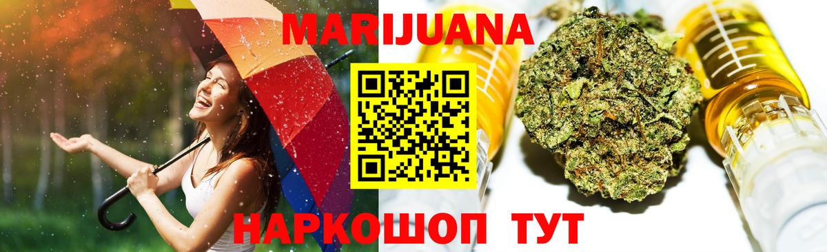 Канабис сатива Алатырь